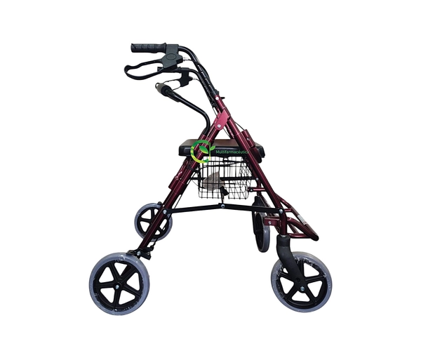 Caminador 4 Ruedas Con Asiento Y Descansa Pies Mul-Fs965lh-B