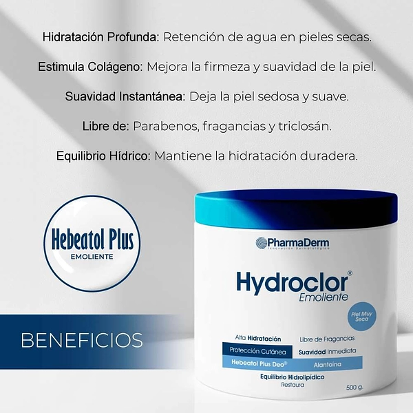 Hydroclor Ungüento 500 g