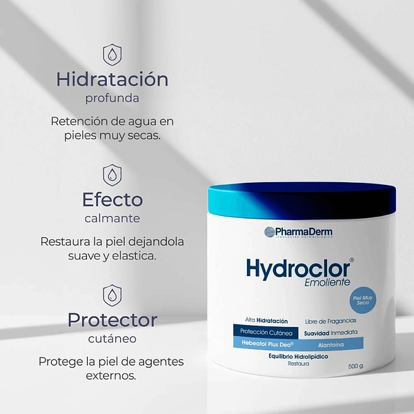 Hydroclor Ungüento 500 g